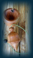 Pendule de radiesthésie en bois de genévrier